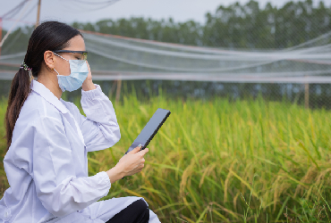 Powerful Termimand Linec Tools Modern Web