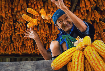 Smashing Podcast Episode Pauloag Conve Seen Optimization Inspired Decisions